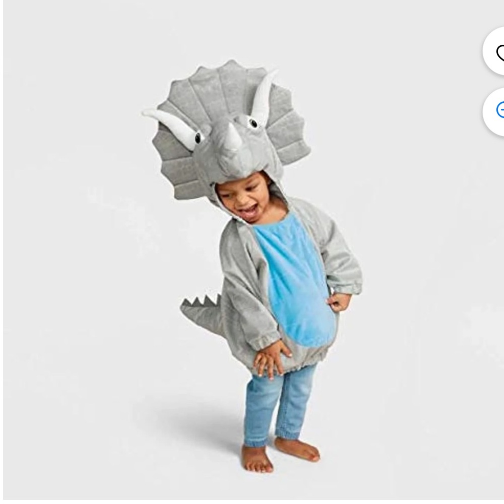 Target Gray and Blue Dinosaur Kids Costume